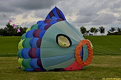 Venice kite festival_0354